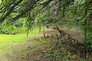 2928 Diana Dr SW, Atlanta, GA 30315 - Photo 15