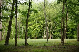 2 & 2A Weymans Way, Blue Ridge, GA 30513 - Photo 31