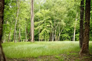 2 & 2A Weymans Way, Blue Ridge, GA 30513 - Photo 9