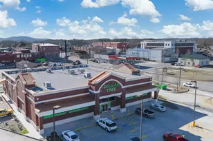 251 Deerberry Dr, Jasper, GA 30143 - Photo 95