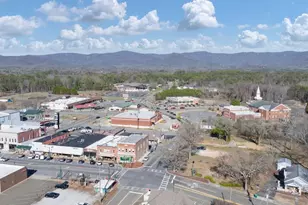 251 Deerberry Dr, Jasper, GA 30143 - Photo 77