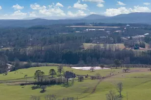 251 Deerberry Dr, Jasper, GA 30143 - Photo 75