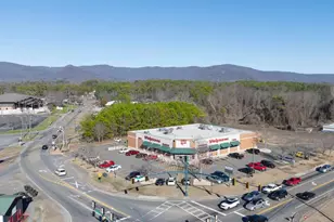 251 Deerberry Dr, Jasper, GA 30143 - Photo 97