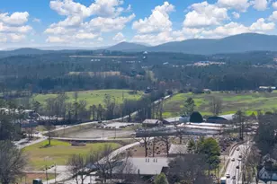 251 Deerberry Dr, Jasper, GA 30143 - Photo 91