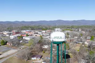 251 Deerberry Dr, Jasper, GA 30143 - Photo 73