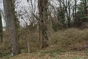 0 Lumpkin St, East Point, GA 30344 - Photo 1