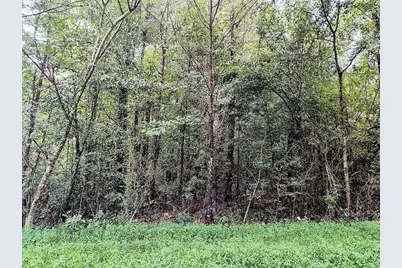 496 Flat Woods Road, Calhoun, GA 30701 - Photo 15