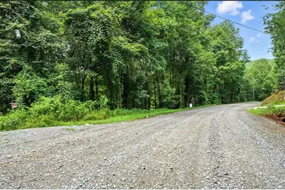 0 Old Bucktown Road, Ellijay, GA 30536 - Photo 7