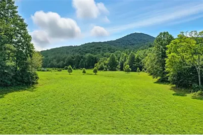 0 Old Bucktown Road, Ellijay, GA 30536 - Photo 13