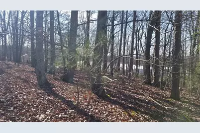 1785 Plunketts Road, Buford, GA 30518 - Photo 5