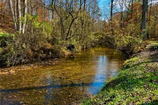 1319 Henry Evans Rd, Ellijay, GA 30536 - Photo 59