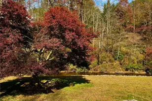 1319 Henry Evans Rd, Ellijay, GA 30536 - Photo 57