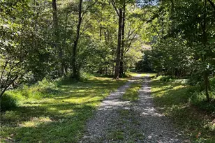 1319 Henry Evans Rd, Ellijay, GA 30536 - Photo 51