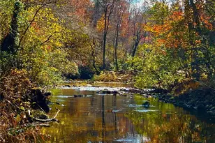 1319 Henry Evans Rd, Ellijay, GA 30536 - Photo 57