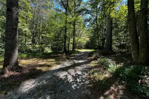 1319 Henry Evans Rd, Ellijay, GA 30536 - Photo 55