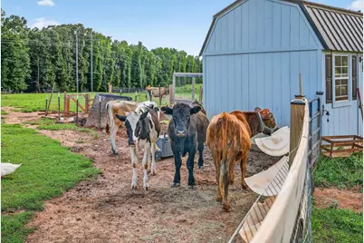 267 Bear Creek Meadows Drive, Bogart, GA 30622 - Photo 47