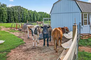 267 Bear Crk Mdws Dr, Bogart, GA 30622 - Photo 47