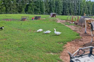 267 Bear Crk Mdws Dr, Bogart, GA 30622 - Photo 43