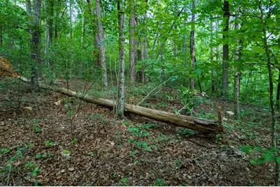 Lot 6 Heatherwood Way, Talking Rock, GA 30175 - Photo 7