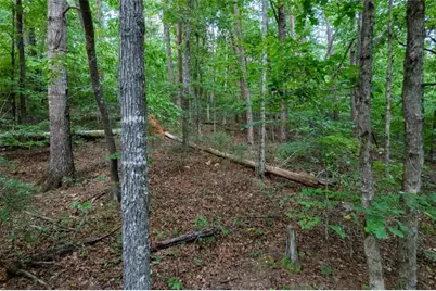 Lot 6 Heatherwood Way, Talking Rock, GA 30175 - Photo 5