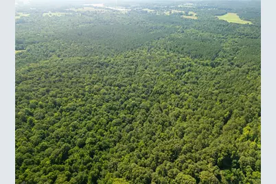 0 Carey Station, Greensboro, GA 30642 - Photo 3