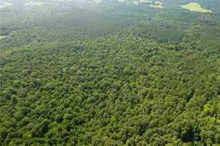 0 Carey Station, Greensboro, GA 30642 - Photo 3