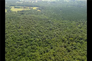 0 Carey Station, Greensboro, GA 30642 - Photo 11