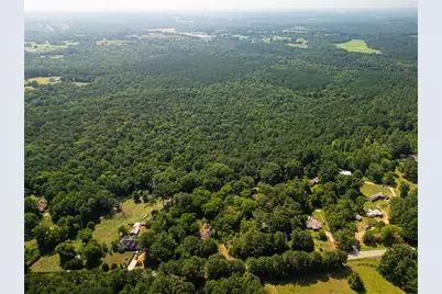 0 Carey Station, Greensboro, GA 30642 - Photo 1