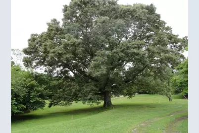 8664 Cumming Highway, Canton, GA 30115 - Photo 5