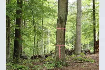 8664 Cumming Highway, Canton, GA 30115 - Photo 17