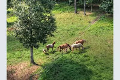 79 Stewart Lane, Morganton, GA 30560 - Photo 3