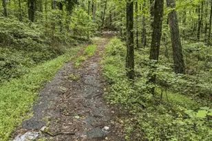 6733 Hwy 155 N, Stockbridge, GA 30281 - Photo 15