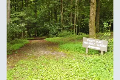 8242 Cox Mountain Drive, Big Canoe, GA 30143 - Photo 15