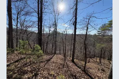 0 Lawrence Road, Dawsonville, GA 30534 - Photo 17