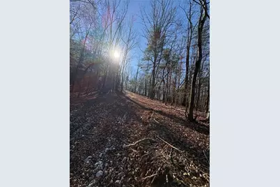 0 Lawrence Road, Dawsonville, GA 30534 - Photo 13