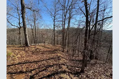 0 Lawrence Road, Dawsonville, GA 30534 - Photo 5