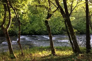 0 Lawrence Rd, Dawsonville, GA 30534 - Photo 1