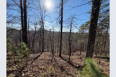 0 Lawrence Road, Dawsonville, GA 30534 - Photo 7