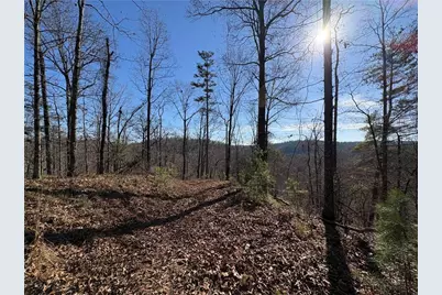 0 Lawrence Road, Dawsonville, GA 30534 - Photo 15