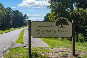 162 Landsdowne Way, Cartersville, GA 30120 - Photo 59