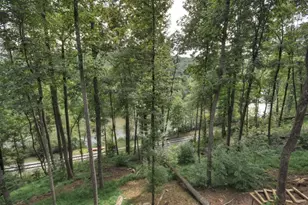 271 Toccoa Preserve Court, Blue Ridge, GA 30513 - Photo 5