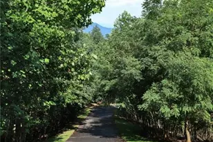 0 Overlook Loop At Young Harris, Young Harris, GA 30582 - Photo 7