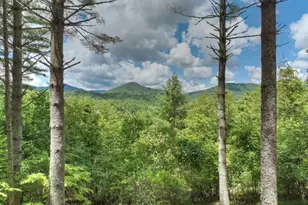 1056 Jolley Way, Epworth, GA 30541 - Photo 29