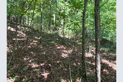 1169 Upper Salem Church Road, Jasper, GA 30143 - Photo 3