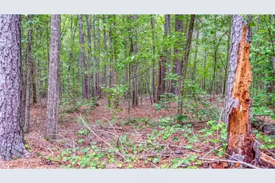 130 Levi Trail, Nicholson, GA 30565 - Photo 15