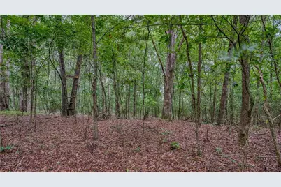 140 Levi Trail, Nicholson, GA 30565 - Photo 13