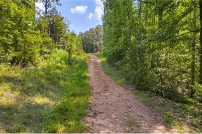 311 Caprice Drive, Martin, GA 30557 - Photo 23