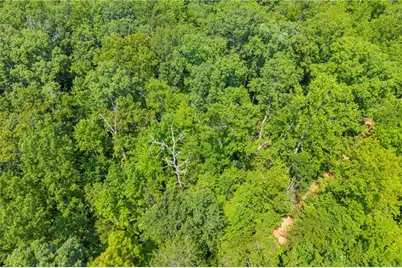 311 Caprice Drive, Martin, GA 30557 - Photo 15