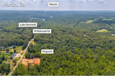 311 Caprice Drive, Martin, GA 30557 - Photo 9