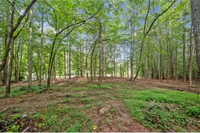 225 Brock Trail, Milton, GA 30004 - Photo 11